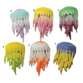 Obrázek z Medúza plast 7cm, 6druhů(144) 
